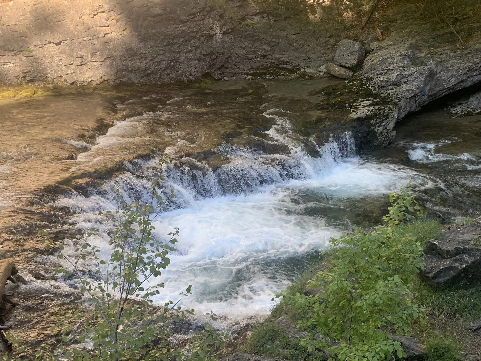 Gebirgsbach im Ordesa-Tal
