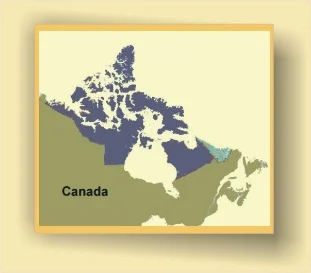Kajak & Canadier
