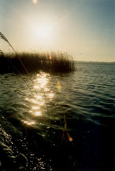 Morgenlicht über dem Wasser