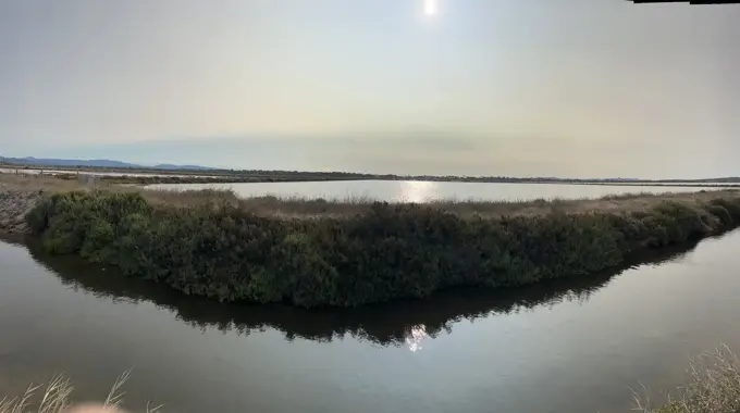 Morgenlicht über den Wasserflächen bei Giens