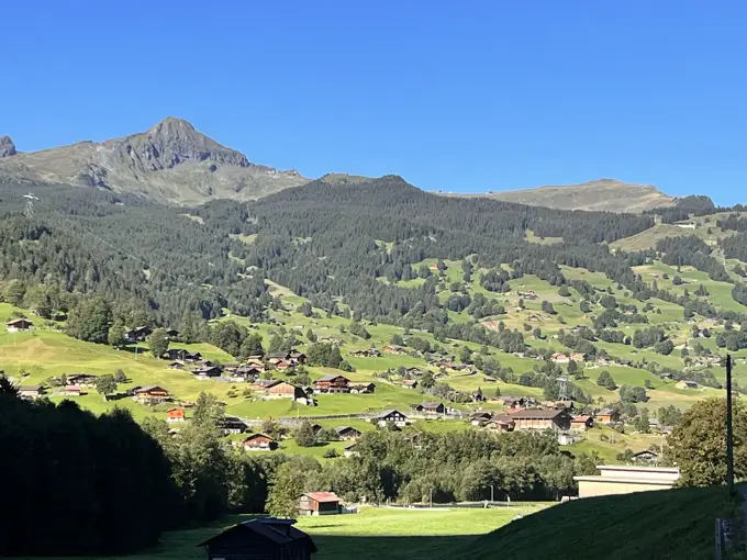 Wiesen und Häuser bei Grindelwald
