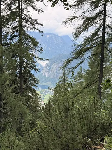 Blick über den Hallstätter See