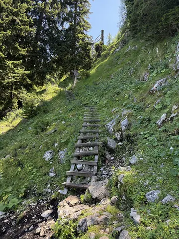 Abstieg vom Unterberg (Reitsteig)