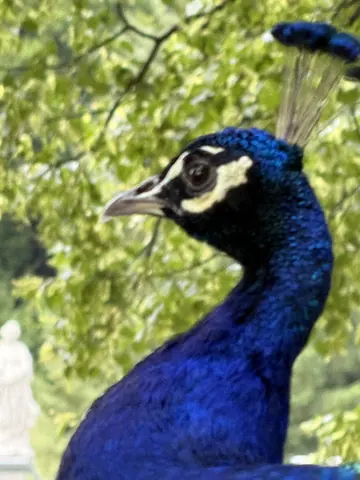 Schloss Eggenberg, Graz – Schlosspark