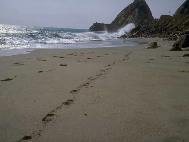 Wellen und Felsen am Strand